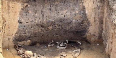 Не только человеческие останки: археологи раскопали ритуальный комплекс возрастом 5000 лет (фото)
