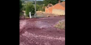 Красные реки: в Португалии вино затопило улицы города (видео)