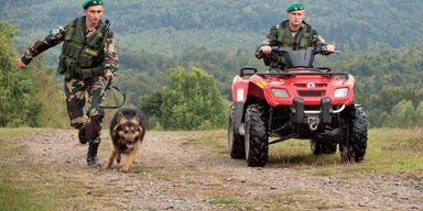 Золотая граница. Как в Закарпатье работает бизнес на контрабанде