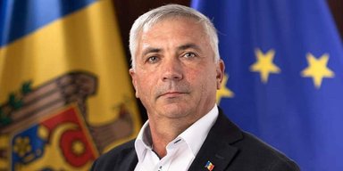 У Молдові після укусу оси помер депутат парламенту