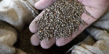 Гречка – на вес золота. Почему Украина может столкнуться с дефицитом крупы