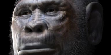 Из Африки одновременно вышли два вида древних людей, а не один: что обнаружили ученые (фото)