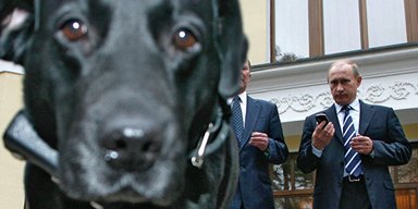 Оборона Крыма. Где порылась путинская собака