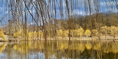 Від морозів до +16: прогноз погоди на вихідні 9-10 березня (відео, фото)