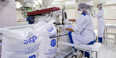 Зібрали врожай та зварили рекордну кількість цукру: в агрохолдингу "Астарта" підбили підсумки виробничого сезону