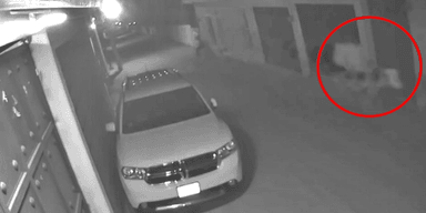 Ніхто не може пояснити: камера зняла "вершника без голови", який гуляв містом (фото)