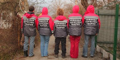 В ответе за всех. Как киевские активисты спасают попавших в беду животных