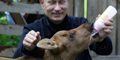 Битва мечт. Почему смерть Моторолы – это смерть Путина