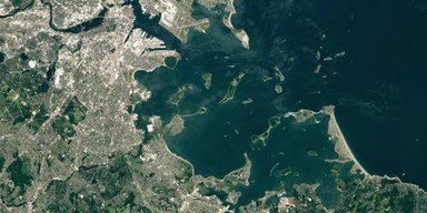У Бостонській гавані приховано рідкісне затонуле поле друмлінів: їх створили крижані гіганти