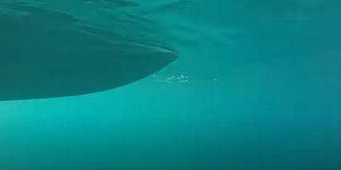 Жінка впустила GoPro камеру на дно океану: побачене на відео налякало людей (відео)