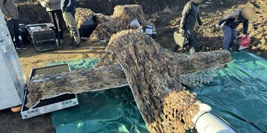 Преодолевая РЭБ: американские дроны V-BAT совершили более 130 боевых вылетов в Украине