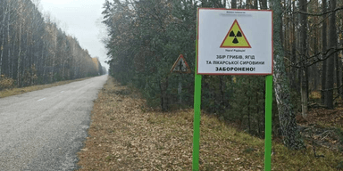 У Чорнобильській зоні відчуження здавали в оренду землю для вирощування зерна (відео)