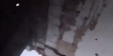 "Шлепнул FPV, который хотел меня заваншотить": боец ВСУ из дробовика сбил вражеский дрон (видео)