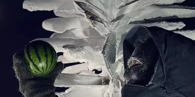 Їм тут не місце. Учені виростили кавуни в найхолоднішому місці на Землі — за -89,2°C (відео)