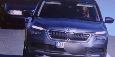 "Настоящий гонщик": камера зафиксировала собаку за рулем движущегося автомобиля (фото)