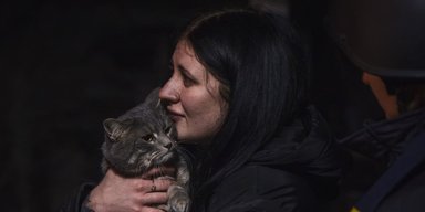 Ракетный удар РФ по Краматорску: из-под завалов разрушенного дома спасли кота (фото, видео)