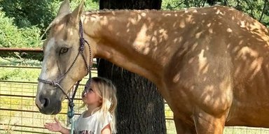 Дівчинка здивувала батьків, заїхавши на поні просто у свою кімнату (відео)