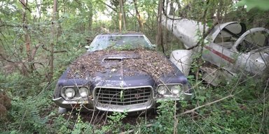 У покинутому будинку виявили колекцію рідкісних авто та літаків (відео)