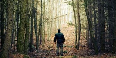 Мужчина наткнулся на невероятные находки посреди леса: что именно он откопал (фото)
