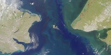 Радикальний крок для людей: вчені закликали терміново закрити Берингову протоку (фото)