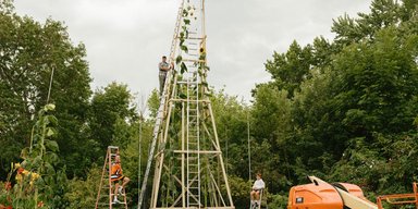 Украинец вырастил в США самый большой подсолнечник в мире (фото)