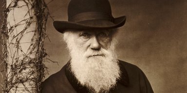 Библиотека из 8 тысяч книг: ученые впервые создали каталог всех книг Чарльза Дарвина (фото)