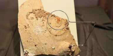 Находка возрастом 3500 лет: на музейной выставке впервые в истории показали уникальный артефакт