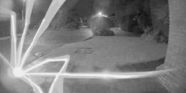 "Ночное ограбление": в Британии в дверной звонок семейной пары "позвонил" огромный паук (фото)