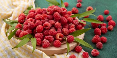Чудо ягода: 5 невероятных свойств малины для красоты и здоровья
