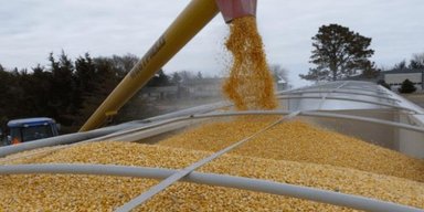 Чтобы ослабить Украину: россияне продолжают вывозить зерно из оккупации