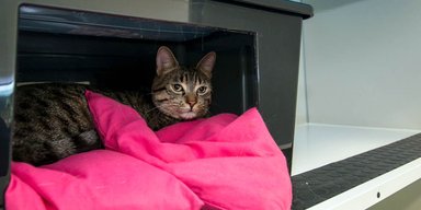 Пять мартовских обострений, которые могут быть опасны для жизни