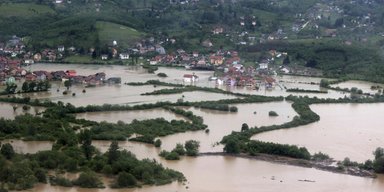 Сильный ливень в Тернопольской области: улицы превратились в реки, погибла птица (фото, видео)