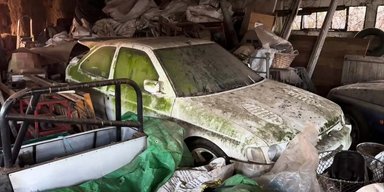 Раритетні спорткари Ford за $100 000 виявили у старому маєтку (відео)