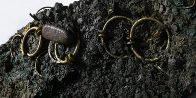 Тайны кельтов: ученые обнаружили древнее поселение, связанное со знаменитым сокровищем (фото)