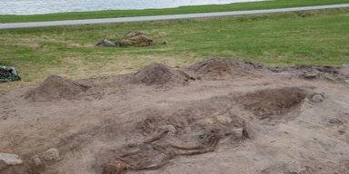 Похоронили не с человеком: в Норвегии археологи раскопали неординарную могилу викингов (фото)
