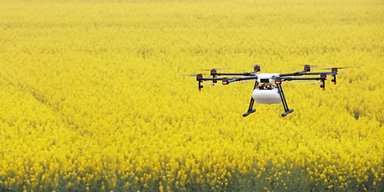 Фото в подтверждение. Что даст Украине инвентаризация сельхозугодий и как это сделать
