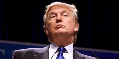 Вот такой парень. Что общего у Дональда Трампа с украинскими политиками