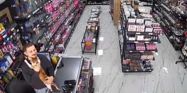 Прийшов із нізвідки: у мережі завірусилося відео з котом-антидепресантом