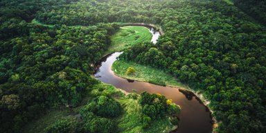 Ученые рассказали, что произойдет, если вырубить все леса Амазонии (фото)