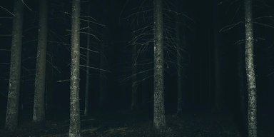 "Бермудський трикутник Трансільванії": що приховує найбільший ліс "з привидами" у світі