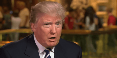 "Вы позор": Трамп во время интервью по поводу манифеста стрелка возмутился вопросами журналистки