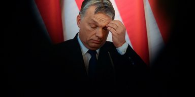 Референдум массового поражения. Почему плебисциты приводят к катастрофическим результатам