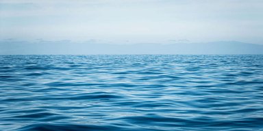 На дне Карибского моря нашли новое существо, похожее на голубую слизь (фото)