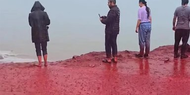 Море в Ірані раптово стало криваво-червоним: стало відомо, що забарвило його води (відео)