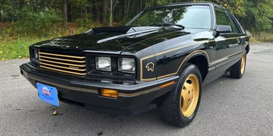 Розкішний брат Mustang: рідкісний спорткар зі США майже 40 років простояв у гаражі (фото)
