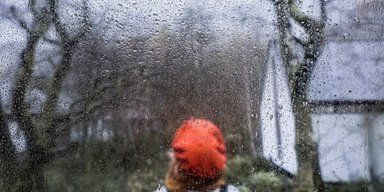 Погода на завтра: где 11 декабря потеплеет до +11
