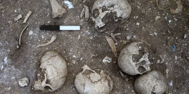 Моторошна знахідка: археологи виявили братську могилу часів вікінгів та останки велетня (фото)