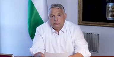 Визит в Украину делегации Венгрии: Орбан по телефону дал инструкции по "Дружбе"