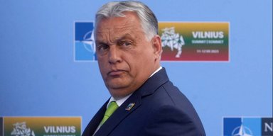 "Паршива вівця Європи": Орбан запропонував саджати до в'язниці опонентів, — Bloomberg