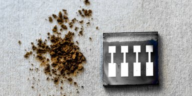 Дешевая и безопасная: ученые разработали "деревянную" солнечную панель